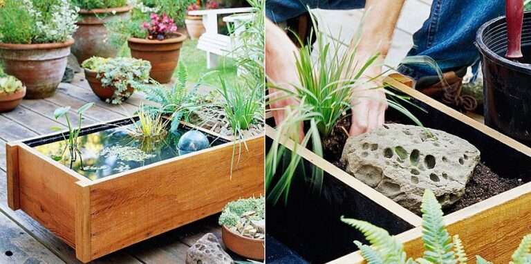 25-cheap-diy-ponds-to-bring-life-to-your-garden