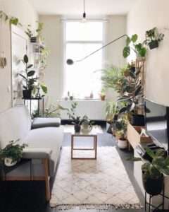 10-plant-filled-abodes-you-should-follow-on-instagram-right-now