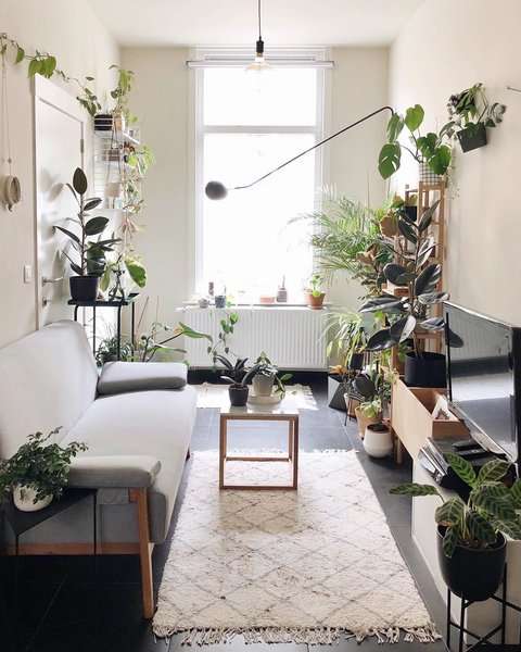 10 Plant-Filled Abodes You Should Follow on Instagram Right Now