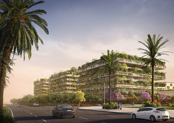 The project will host biodiversity specific to the North African region. Whereas forests and green areas in urban settings often hog space, the buildings take advantage of unused headroom to flex more muscle with a fraction of the land.