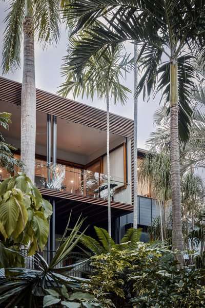 A Tropical Renovation Lifts an Australian Home Into the Treetops