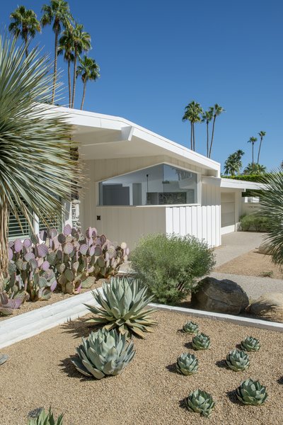In addition to lovely native landscaping, the front entrance features crisp midcentury lines and a beautiful butted glass window.