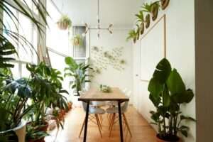 11-lush-plant-filled-dwellings-that-pay-homage-to-home-horticulture