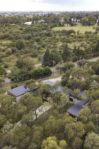 The home is divided into four different blocks, arranged to avoid impacting on the trees on site.