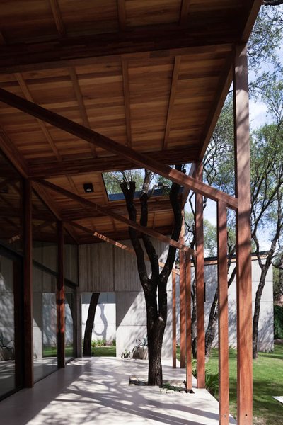 The slender timber columns supporting the "gallery"—an outdoor living space—are a subtle nod to the surrounding forest.