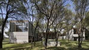 native-trees-punch-through-the-roof-of-this-concrete-home-in-argentina