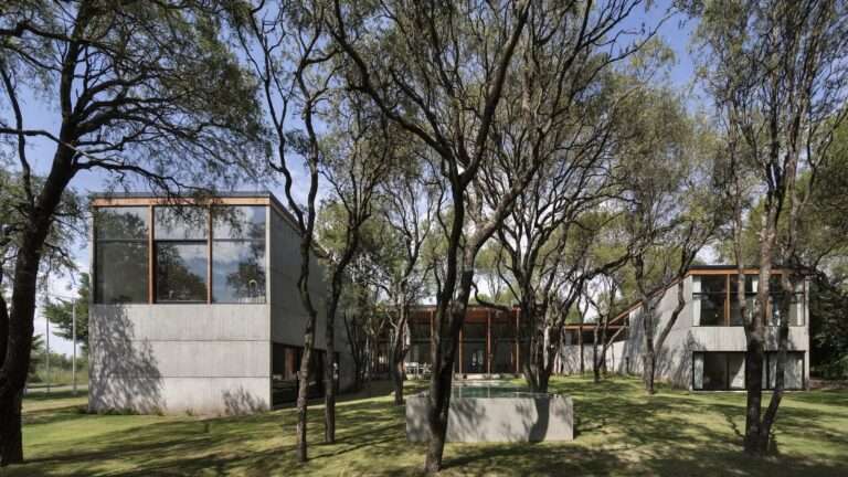Native Trees Punch Through the Roof of This Concrete Home in Argentina