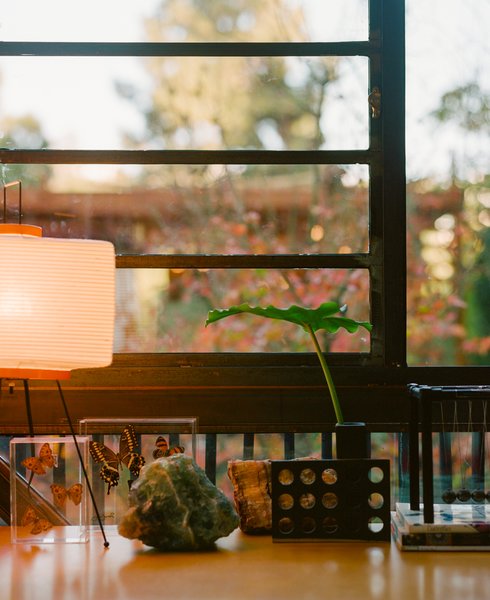 A Noguchi paper lamp, gemstones, and encased butterflies connect the tea house office to the natural setting just beyond the glass.