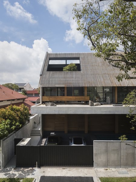 A tall tree grows through a large aperture in the mono-pitched roof, bringing an outdoor feel to the inside of the house.