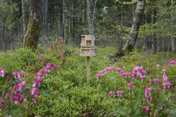 The Bee Home can be set up nearly anywhere outdoors. SPACE10 and Tanita Klein hope the open-source designs will raise awareness around bees’ impact on the environment and our daily lives.