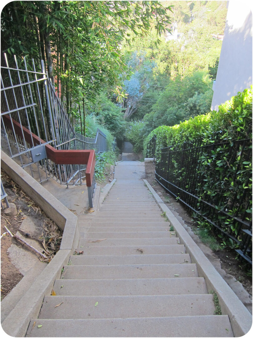 looking down an outdoor cement staircase with green bushes on the right side and fencing on the left