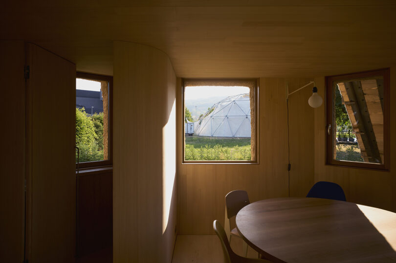 Interior window view from the Tane Garden House.