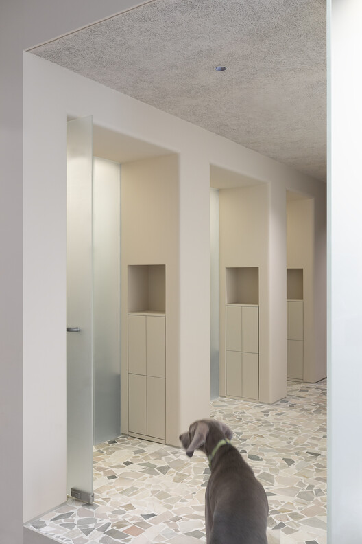 Paw Pets Spa / Office AIO - Interior Photography, Door