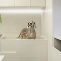 Paw Pets Spa / Office AIO - Interior Photography