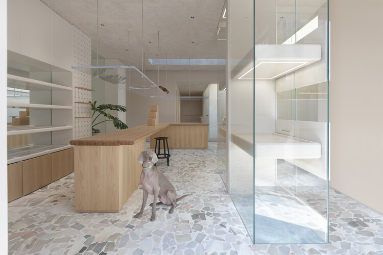 Paw Pets Spa / Office AIO - Interior Photography, Windows