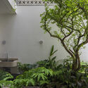 Secret Garden House / ROOM+ Design & Build - Exterior Photography, Garden