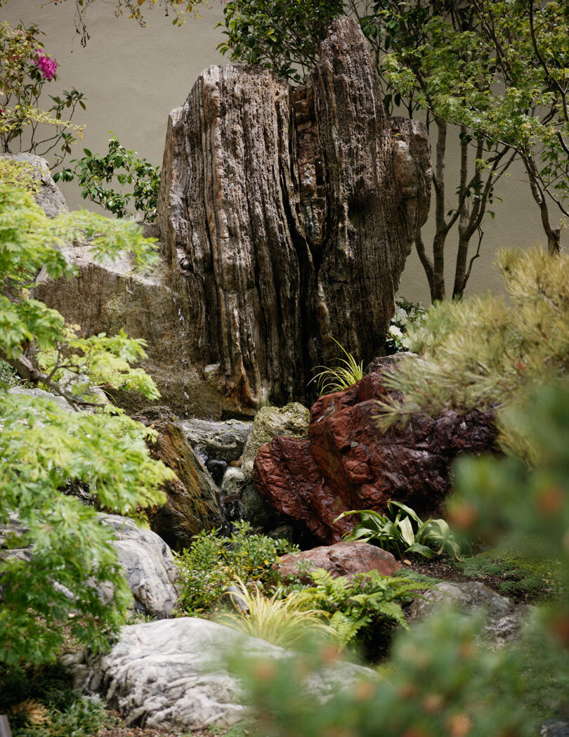 Detail of Japanese rock garden landscaped with California native plants.