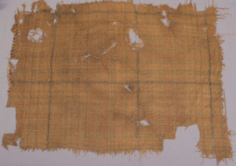 tartan fragment