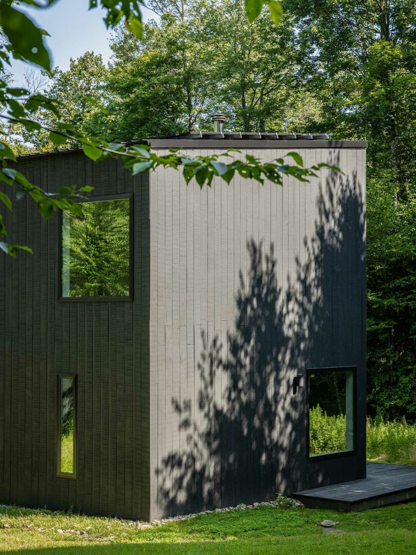 partial corner view of modern black box house surrounded by trees