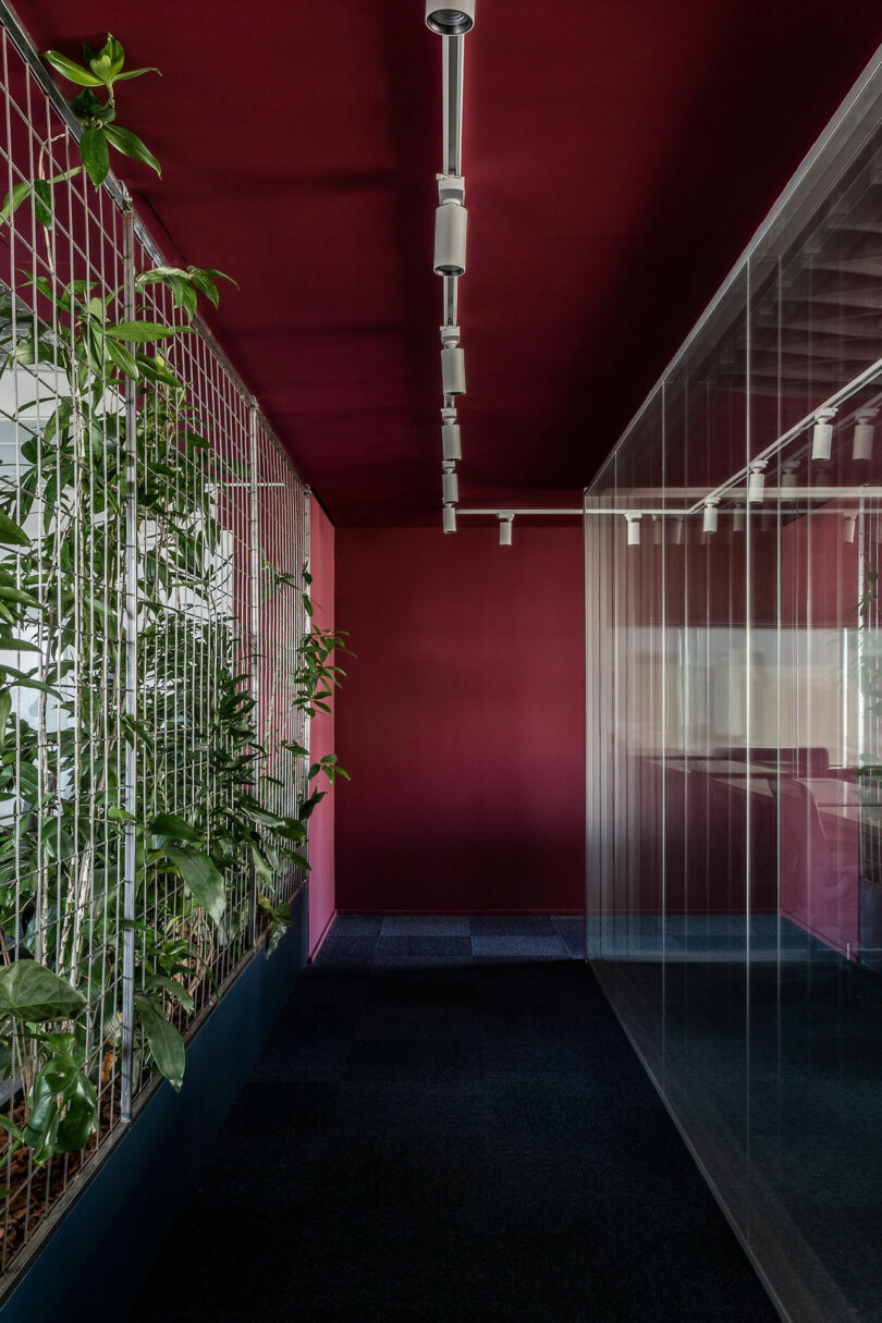 hallway in office with green plants sticking through metal mesh