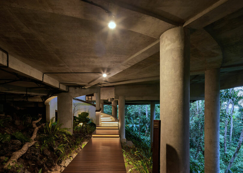 covered wooden walkway below concrete house surrounded by greenery