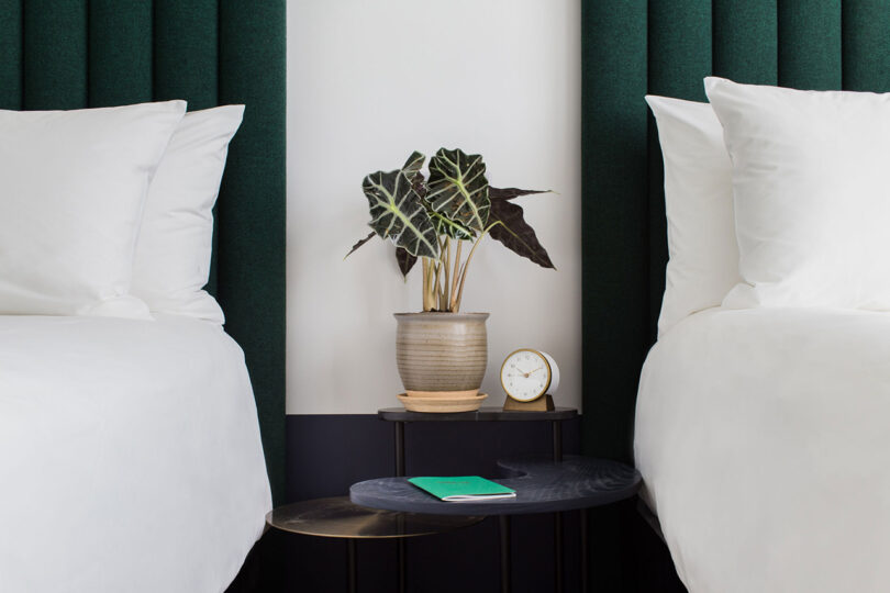 Side by side beds with fluted green headboards, divided in the center by a small tiered bedside table topped with a small potted variegated houseplant, bedside analog clock and a small green pamphlet.
