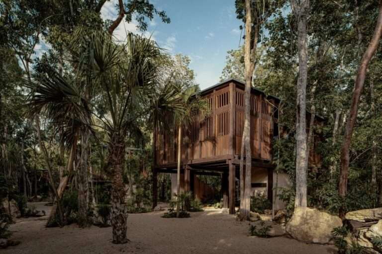 Taller Frida Escobedo completes treehouse-like resort on Mexico coast