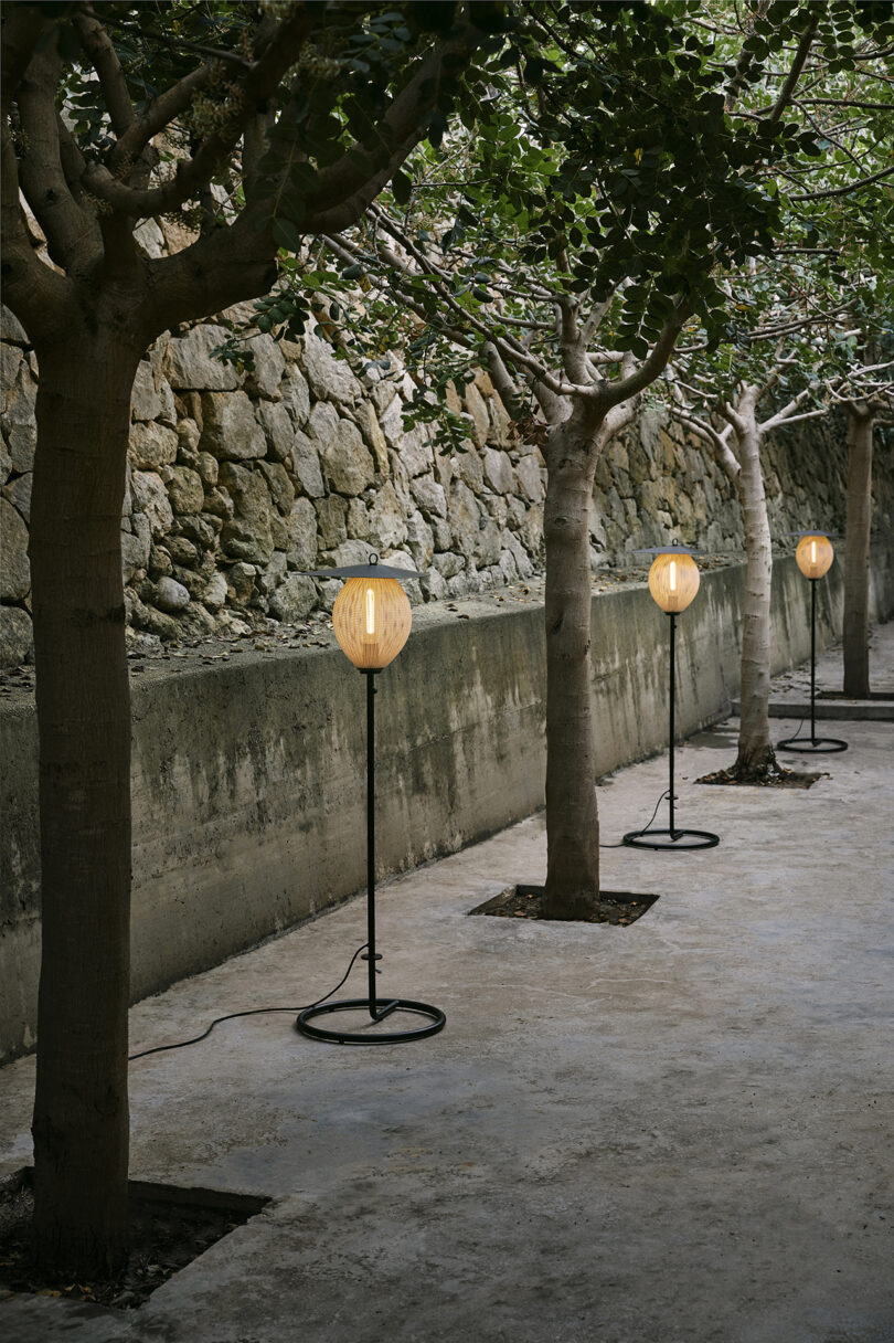 three illuminated floor lamps lined up between a row of trees