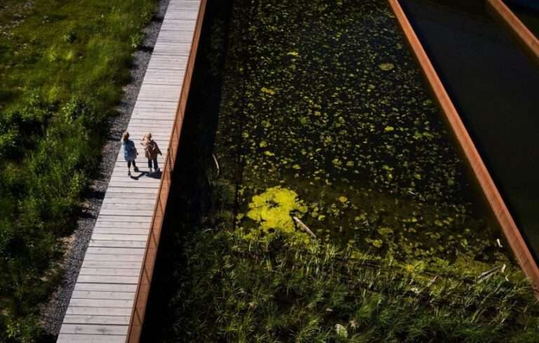 White Arkitekter designs stormwater pond with winding pathway