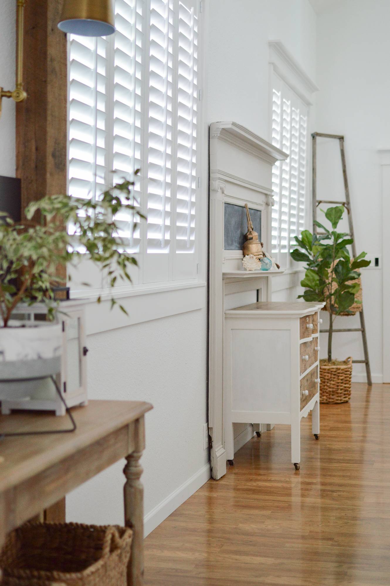 Entryway finished with minimalist white styling and green plants.