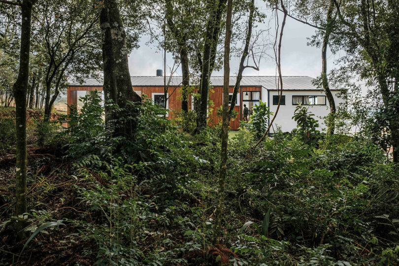 exterior view through trees of modern house with partial wood exterior