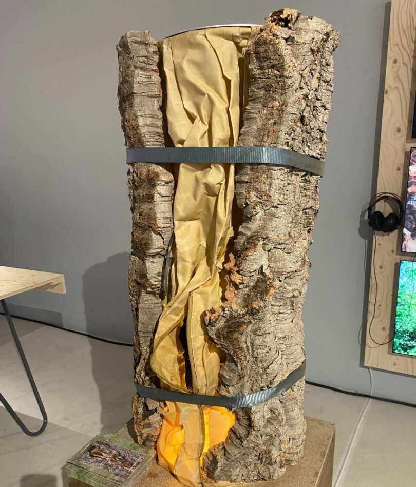 A faded yellow zip bag is inside a curved section of thick bark – the whole thing is held together with two dark green plastic straps