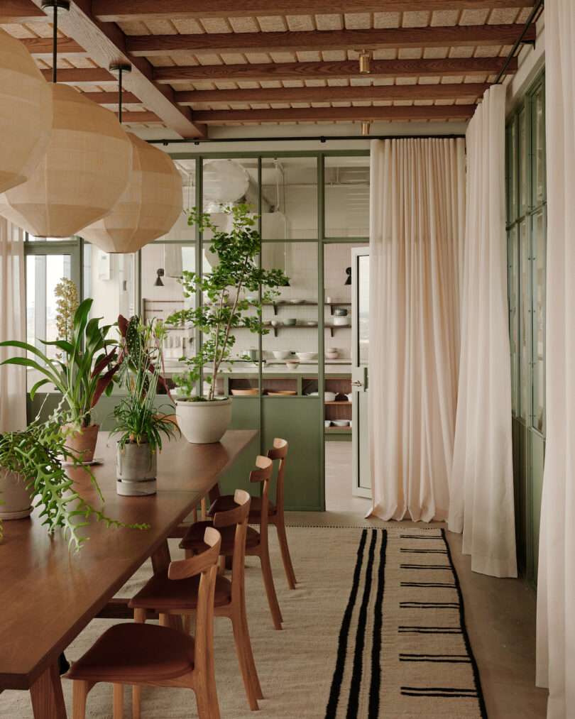 meeting room with green plants on table