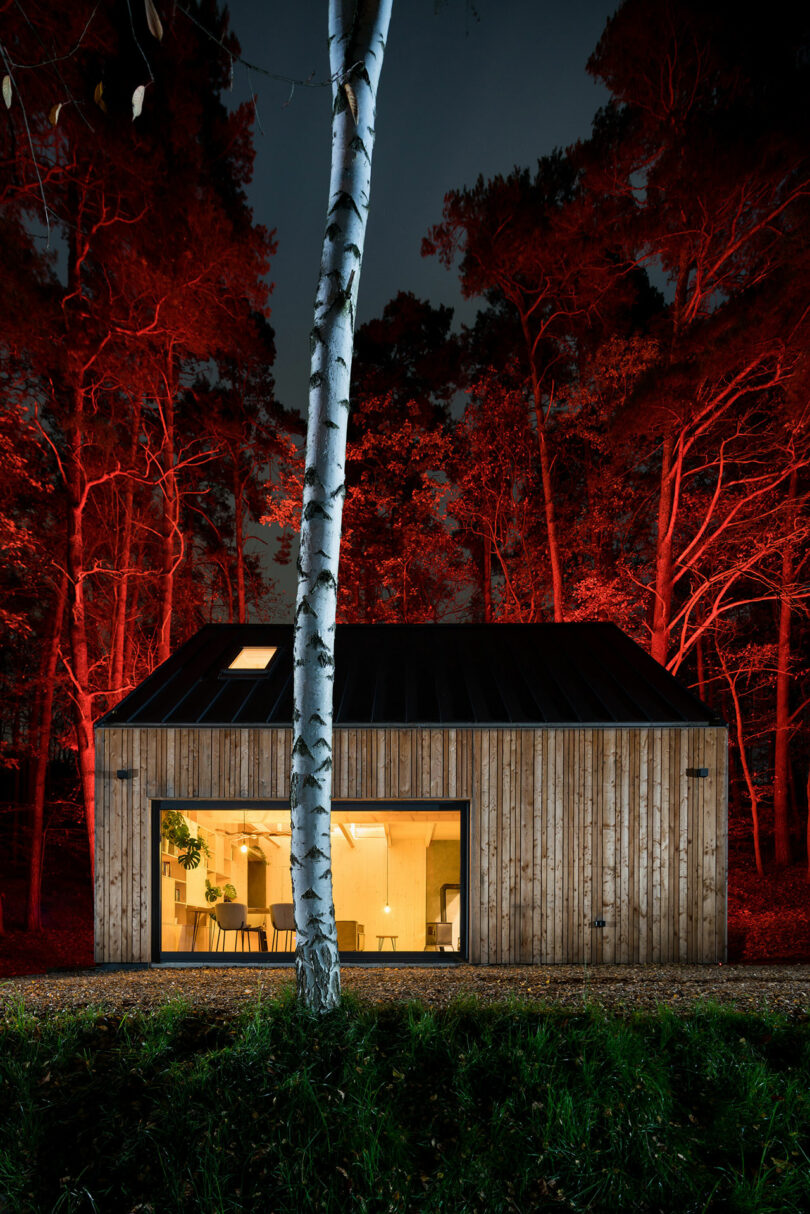 night view of modern wood cabin in woods with red lights shining on surrounding trees