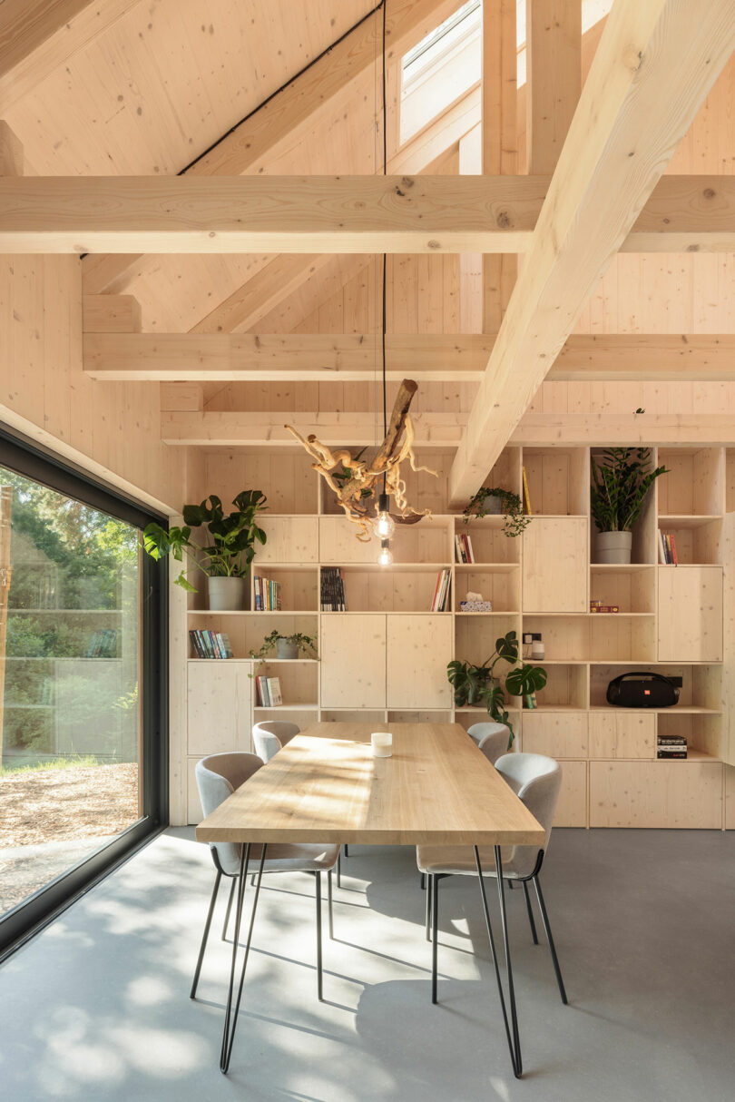 interior shot of modern living space with light wood open ceiling and minimalist furnishings with light flooding in