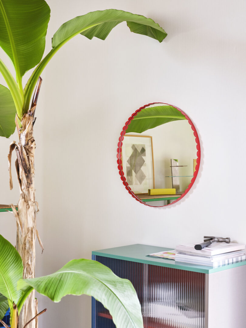 red mirror next to green indoor tree