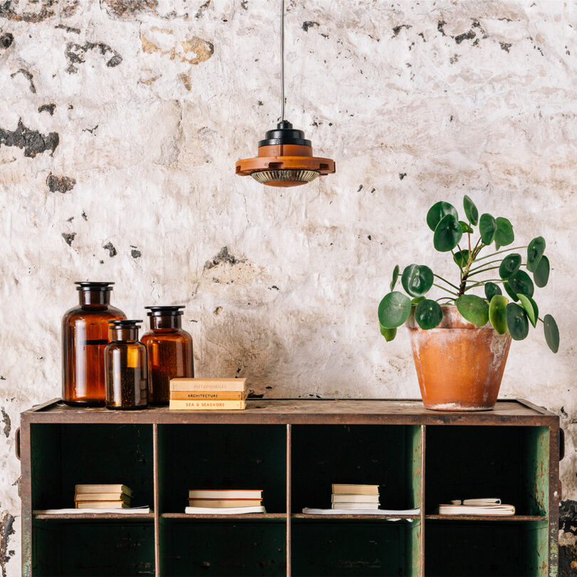 styled interior space with shelves, a plant, brown glass bottles, and a pendant light