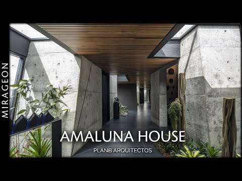A Chaotic Adventure | Amaluna House