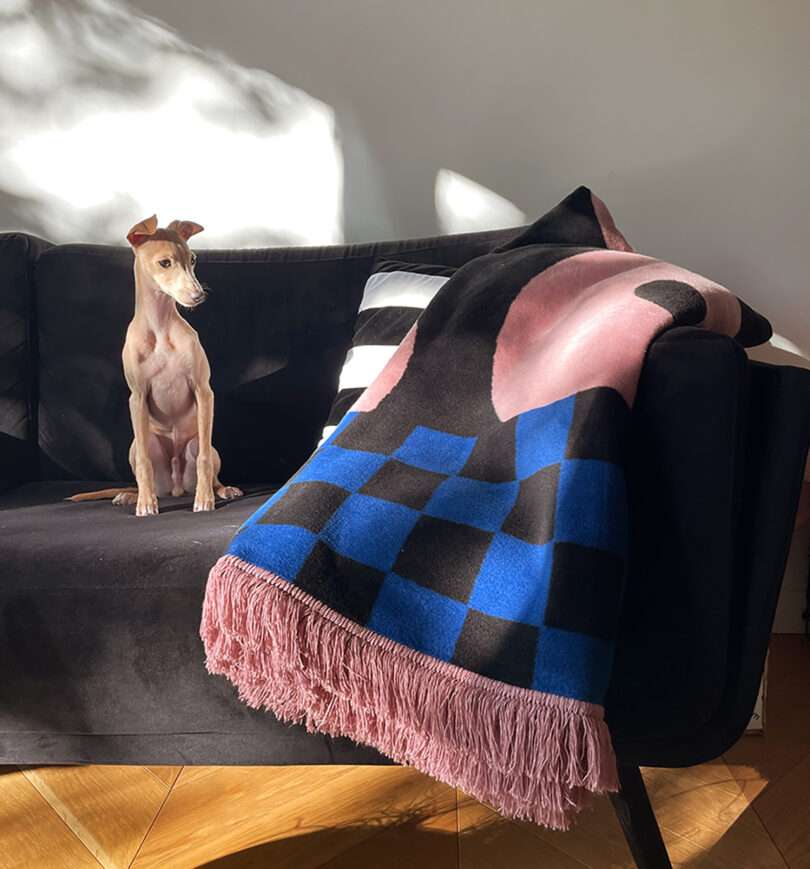 pink, blue, and black geometric abstract throw blanket on a black sofa with a light brown dog