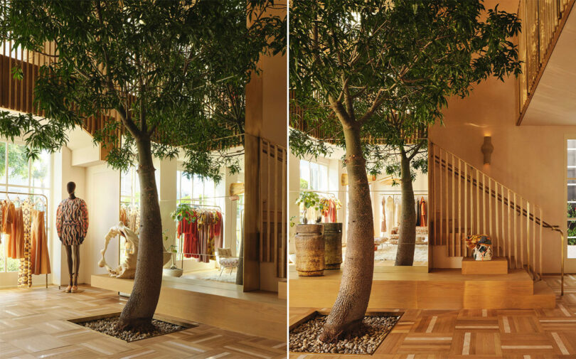 Two views of interior tree and grand staircase.