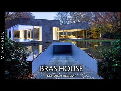 Like a Stone in a Forest… | Bras House