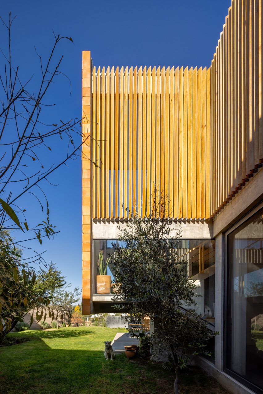 Rectilinear house surrounded by lush garden