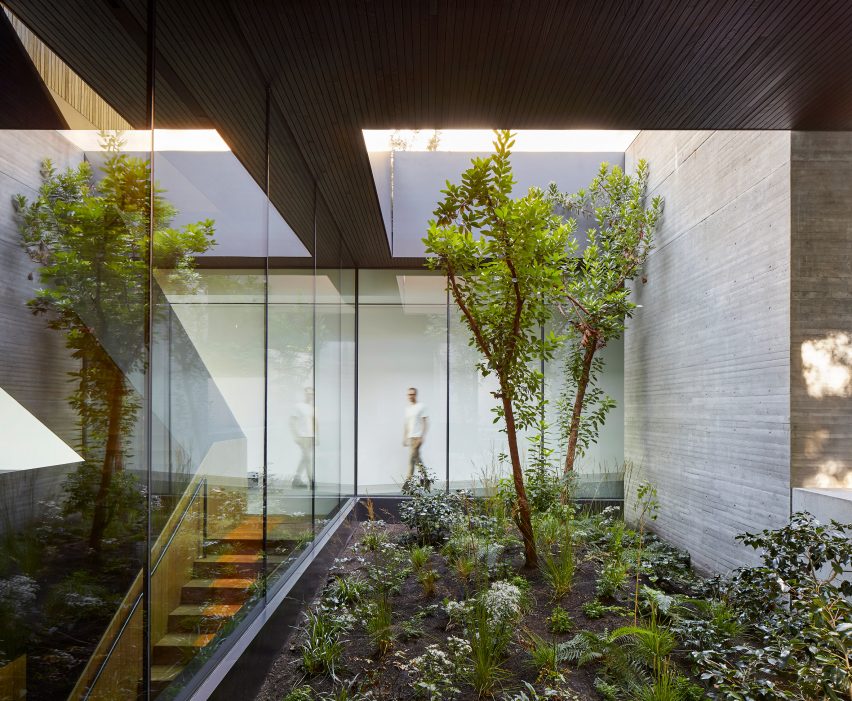 Central staircase and planted courtyard