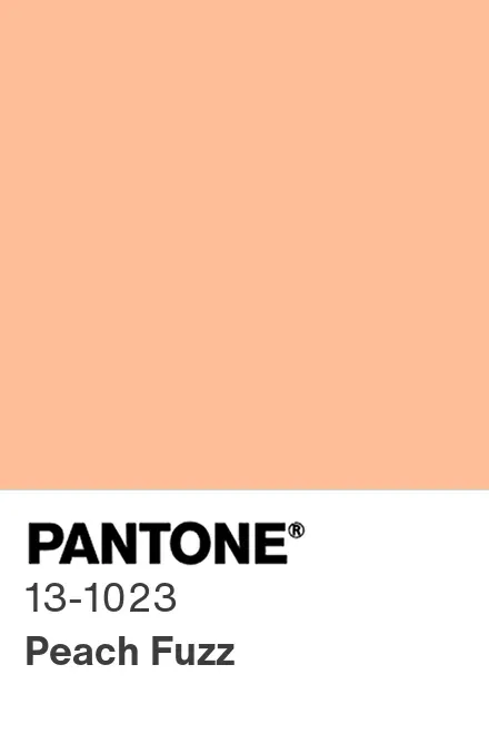 Peach Fuzz 2024: Pantone Colour of the Year in Interior Design