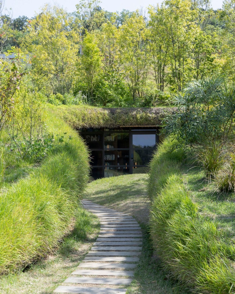 burrowed underground library at kurkku fields surrounded by greenery