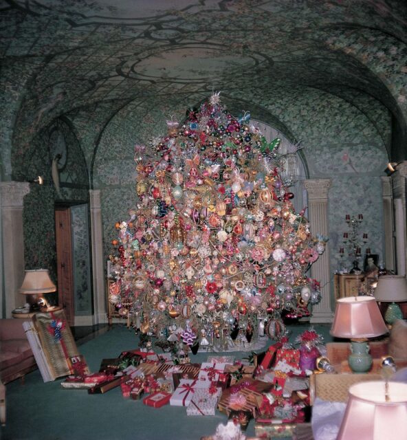 Christmas tree in the middle of a dark room