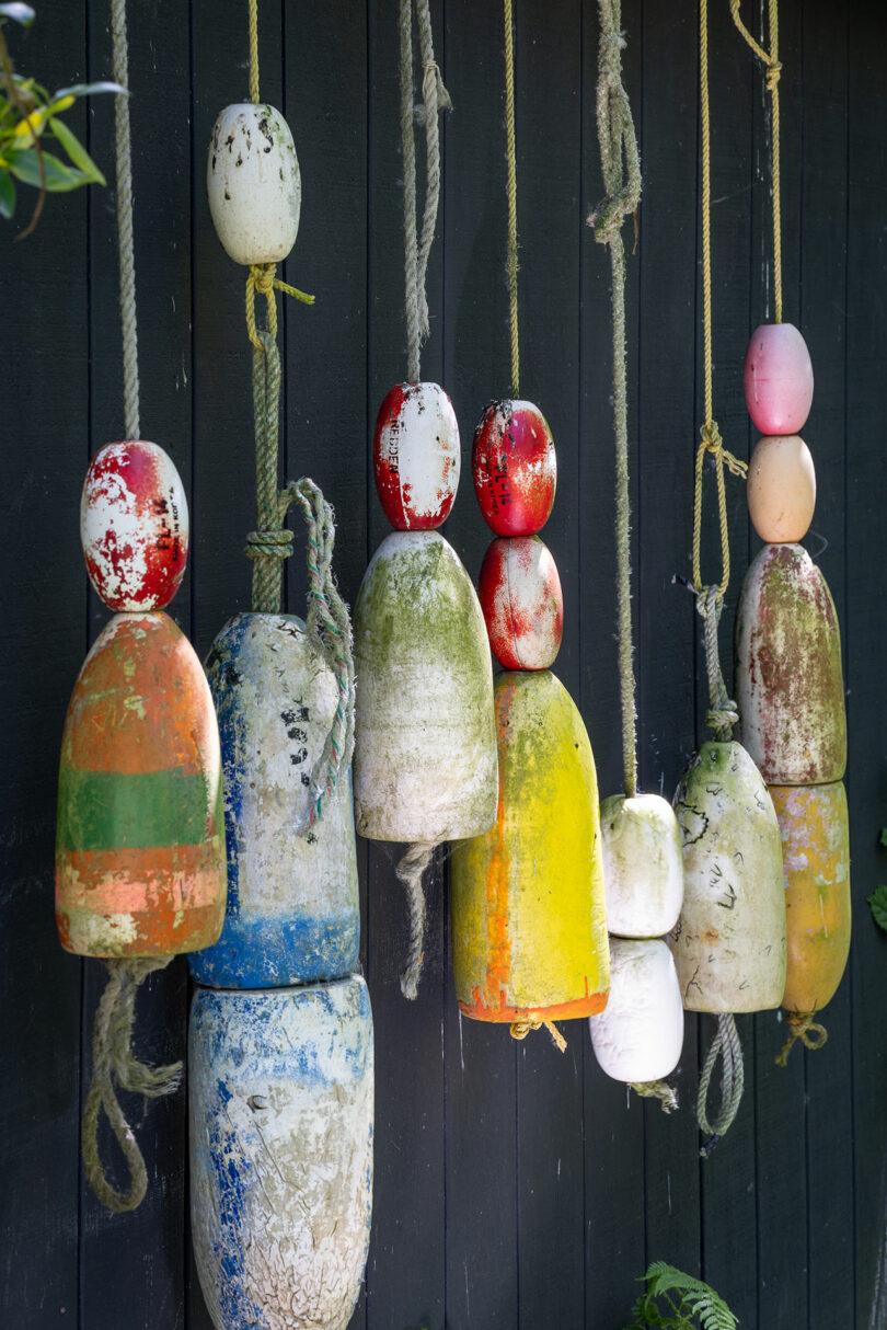 angled closeup view of weathered colorful buoys hanging