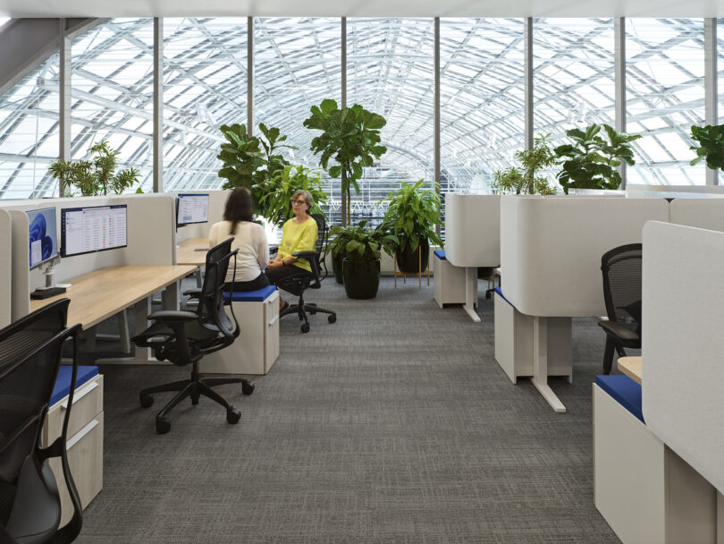 two people sitting at workstations in a modern ofice