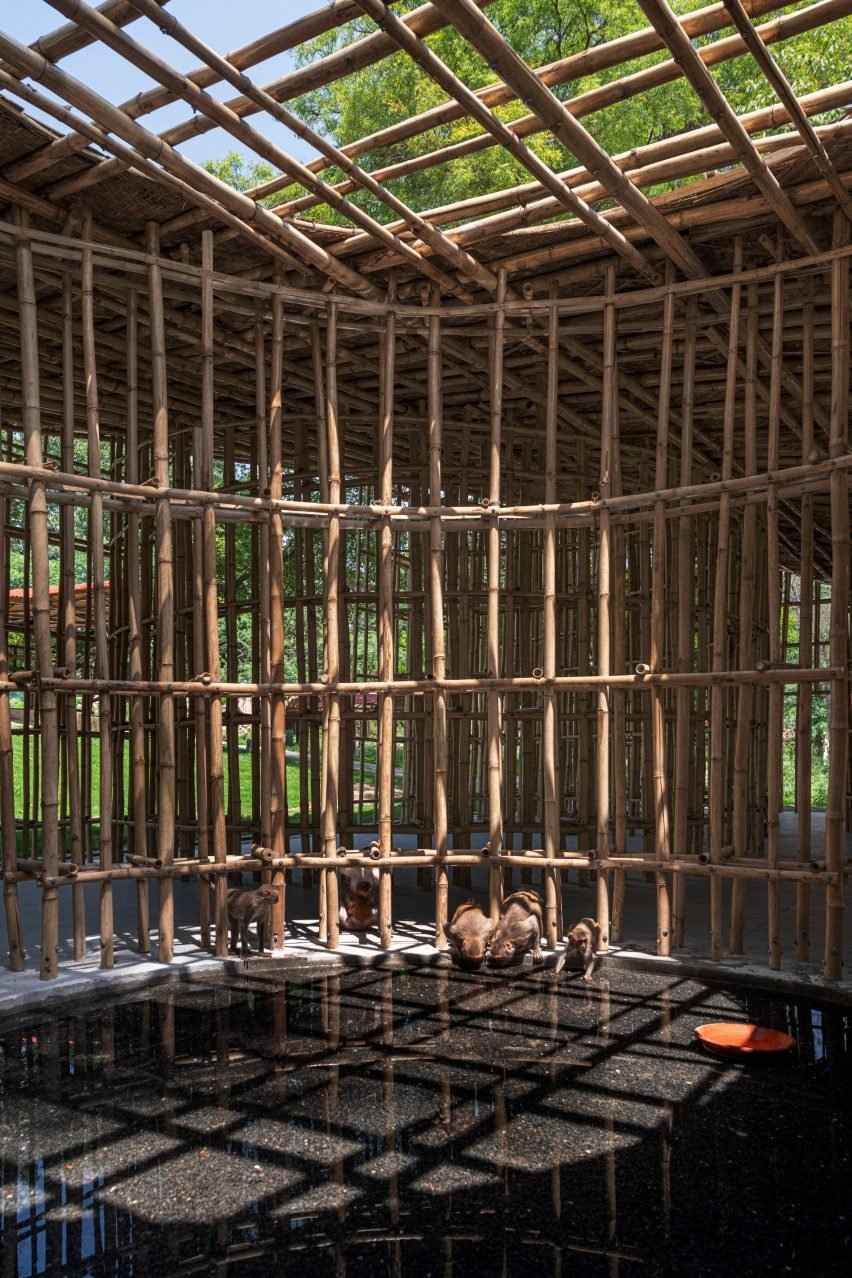 Monkeys drinking from pool of water inside Northeast Pavilion by atArchitecture