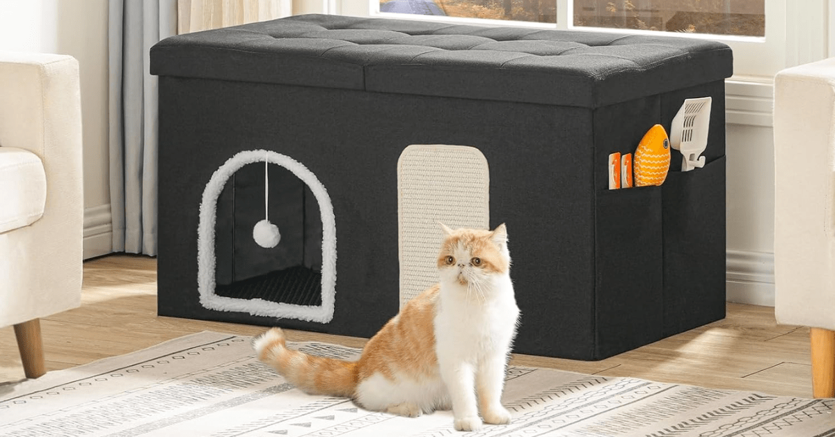 Bench that doubles as a hidden litter box.